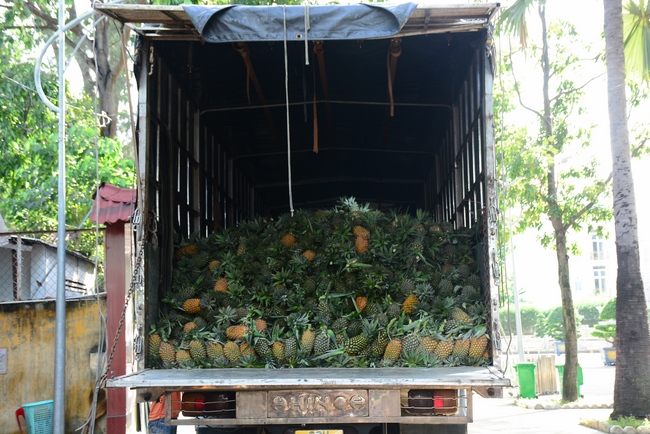 Chùa Hoằng Pháp: Tiếp tục hỗ trợ người dân khó khăn trong đại dịch Covid (đợt 8)
